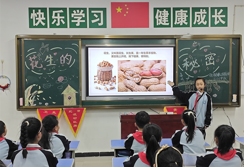  驻马店第二实验小学开展“落花生•悟成长”秋日丰收实践活动