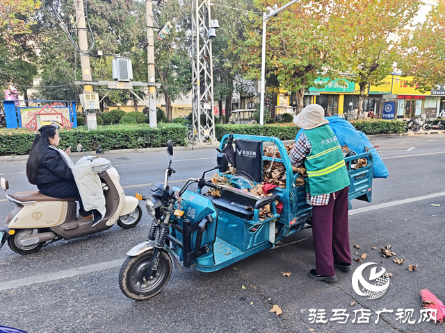  开发区城市管理事务中心：全力清掏落叶 筑牢冬季“安全防火墙”