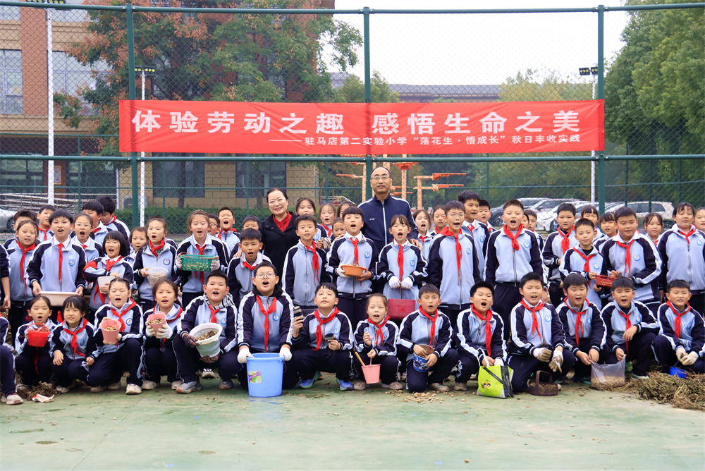  驻马店第二实验小学开展“落花生•悟成长”秋日丰收实践活动