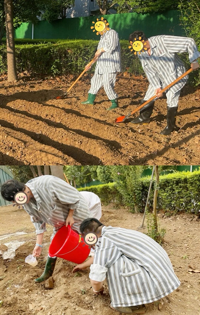 探寻健康新路径：田园疗法带来身心治愈