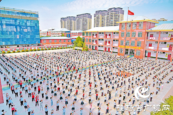 平舆县:文明筑城暖民心民生答卷写华章