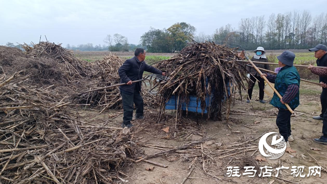 确山县留庄镇:秸秆“废”变“宝” 走出生态增收双赢路