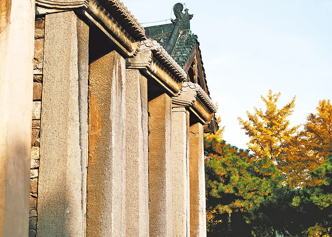 请打开“运河秋韵”画卷!