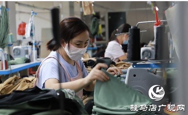 平舆县：“党建＋”激活基层善治“一池春水”