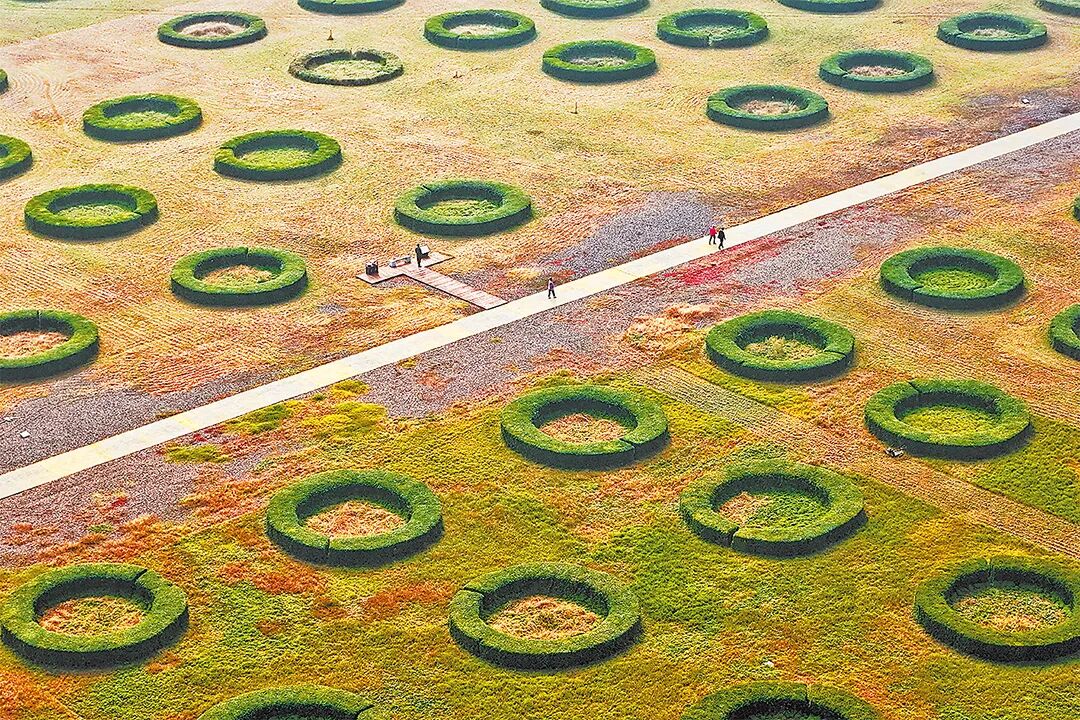 请打开“运河秋韵”画卷!