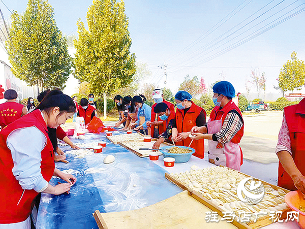 平舆县:“党建+”激活基层善治“一池春水”