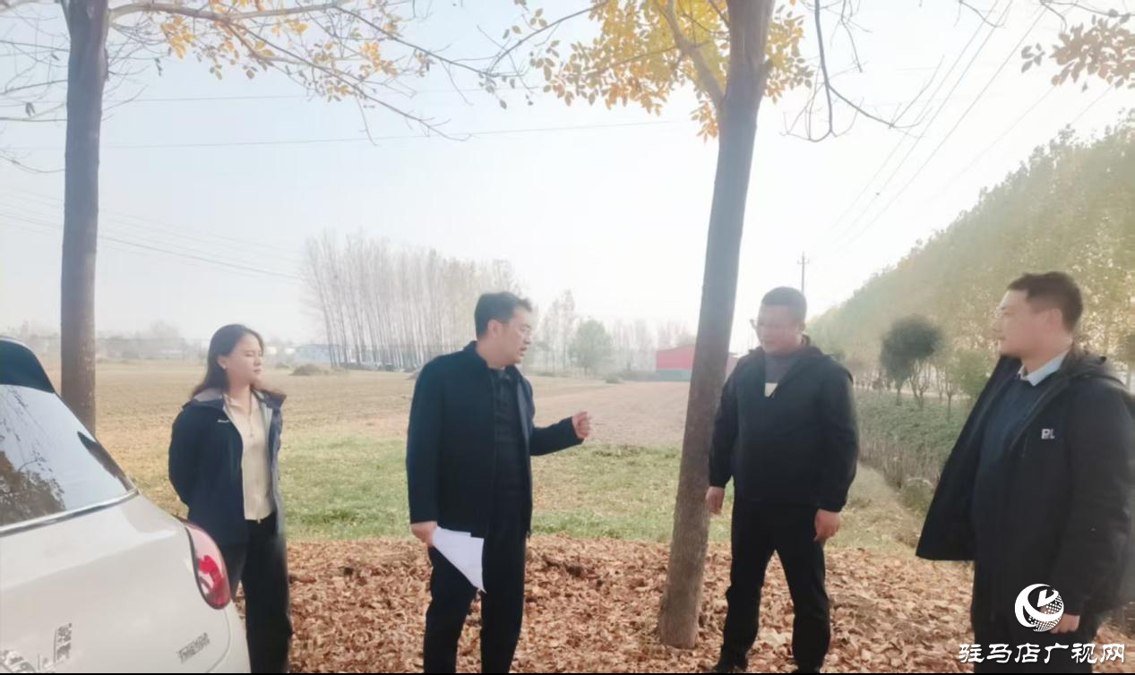 平舆县十字路乡：开展秸秆清运观摩行动 人居环境再谱新篇