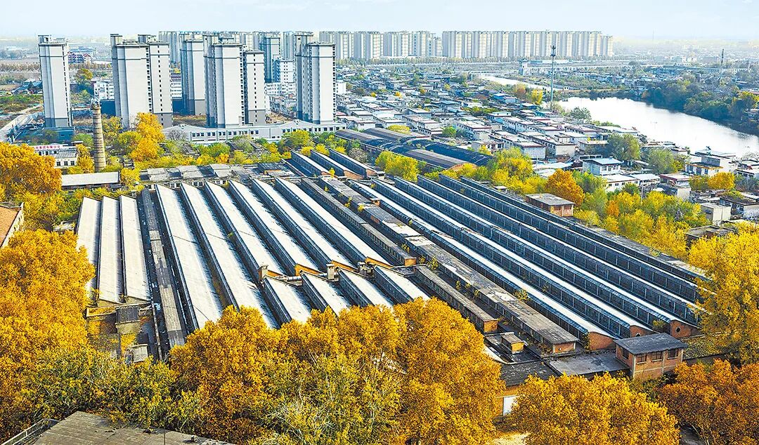 请打开“运河秋韵”画卷!