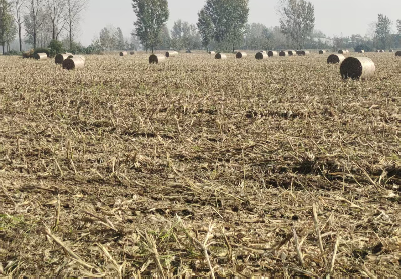 遂平县玉山镇：秸秆综合利用，变废为宝促增收