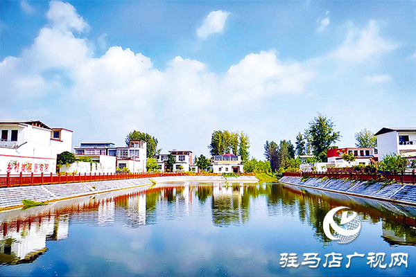 平舆县:“党建+”激活基层善治“一池春水”