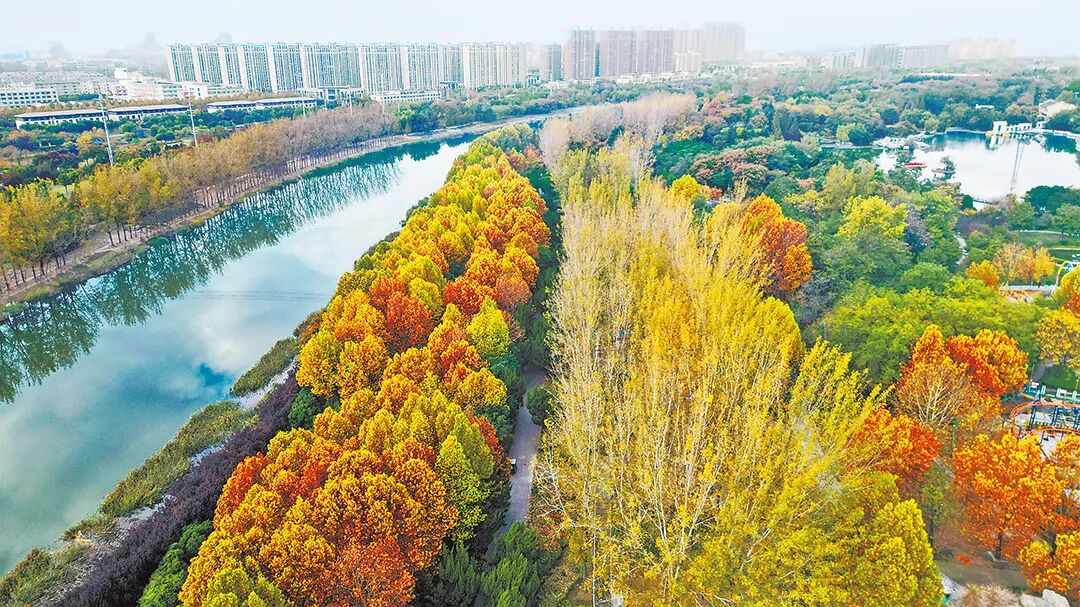 请打开“运河秋韵”画卷!