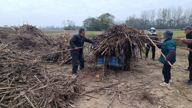确山县留庄镇：秸秆“废”变“宝” 走出生态增收双赢路