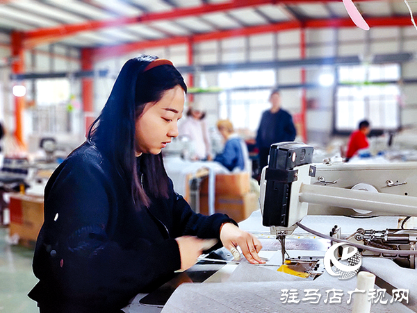 平舆答卷:“三园”模式解锁强县富民密码