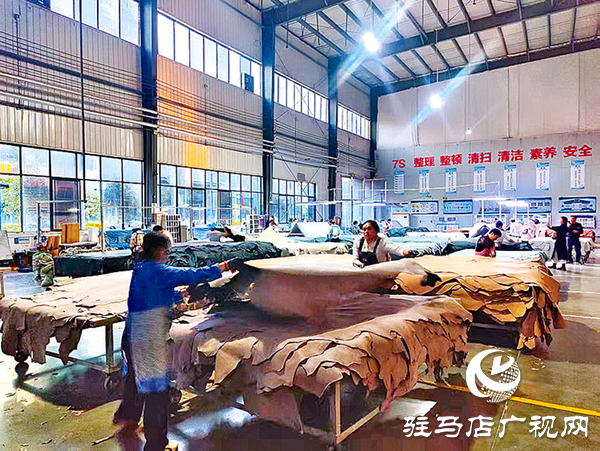 平舆答卷:“三园”模式解锁强县富民密码