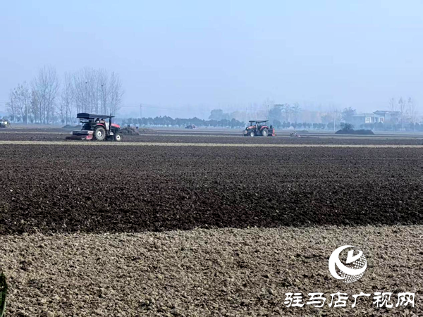 平舆县射桥镇:深耕细作抢农时、全面推进旋地播种工作