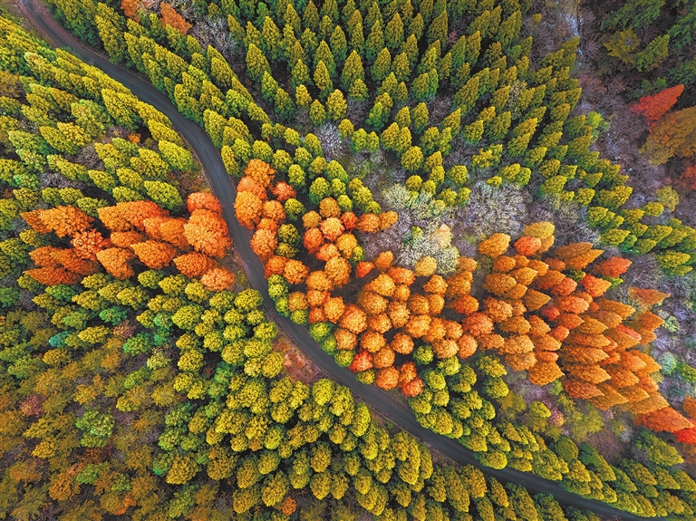 林海斑斓美如画