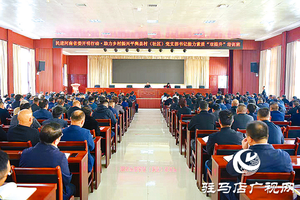 平舆县:“党建+”激活基层善治“一池春水”