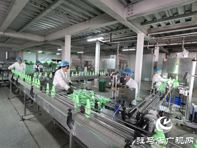 上蔡晨钟农业精心备战农加会 科技创新赋能农业高质量发展