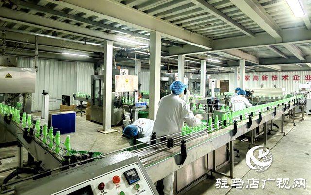 驻马店市晨钟生物科技：以现代化治理做强丝瓜产业 绘就乡村振兴“新样本”