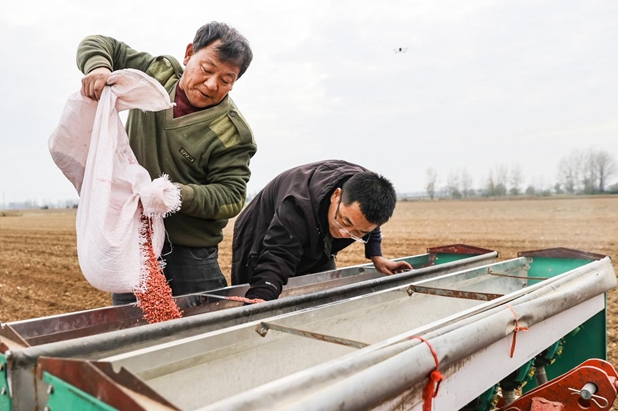 驿城区：精准施策 力保晚播小麦不减产