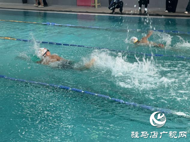 老中青幼同池竞技 驻马店社区游泳赛展全民健身活力