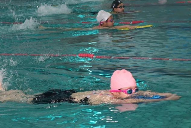 老中青幼同池竞技 驻马店社区游泳赛展全民健身活力