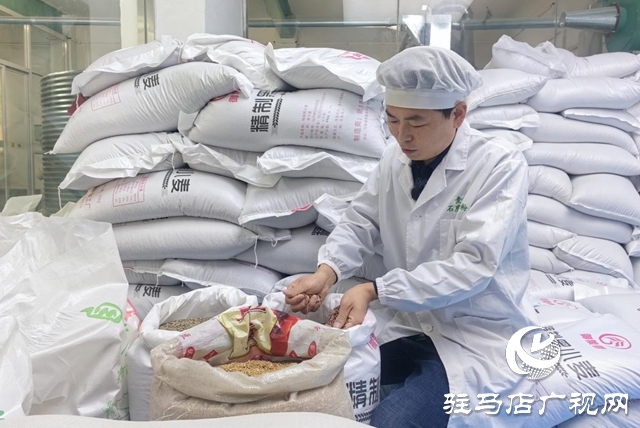 【天中“星”商】石磨转出新“食”机 匠心铺就振兴路 