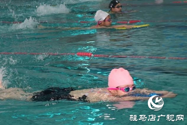 老中青幼同池竞技 驻马店社区游泳赛展全民健身活力