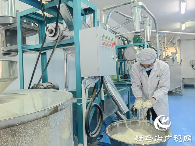 【天中“星”商】石磨转出新“食”机 匠心铺就振兴路 