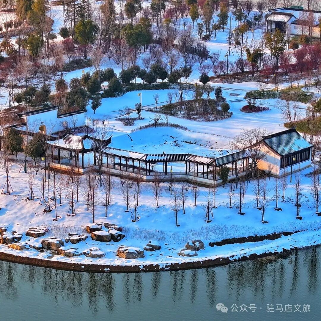 雪落天中！驻马店初雪刷屏~这些绝美雪景，你都去看过吗