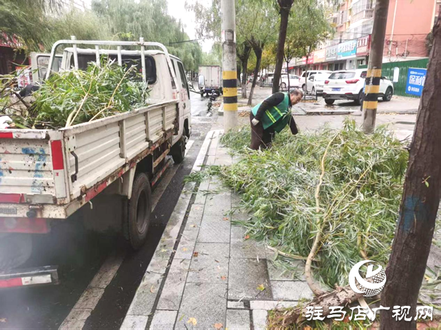  开发区城市管理事务中心以“动”制冻 清断枝除隐患保畅通