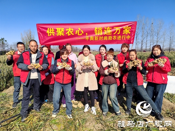 供聚农心 销连万家 驻马店新时尚火龙果超市联合平舆新时尚超市爱心助农解滞销难题