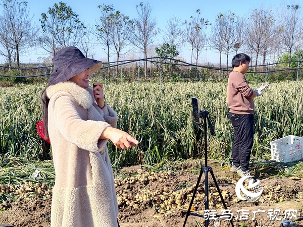 供聚农心 销连万家 驻马店新时尚火龙果超市联合平舆新时尚超市爱心助农解滞销难题