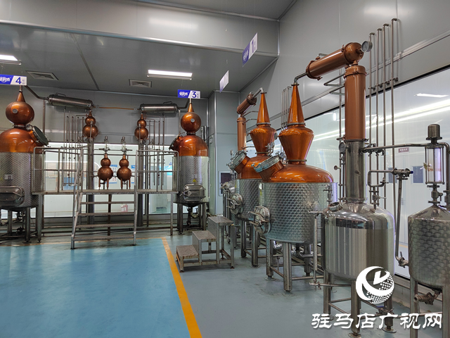 河南杞乐生物科技有限公司：“精准研发+全链创新”赋能芳香产业高质量发展