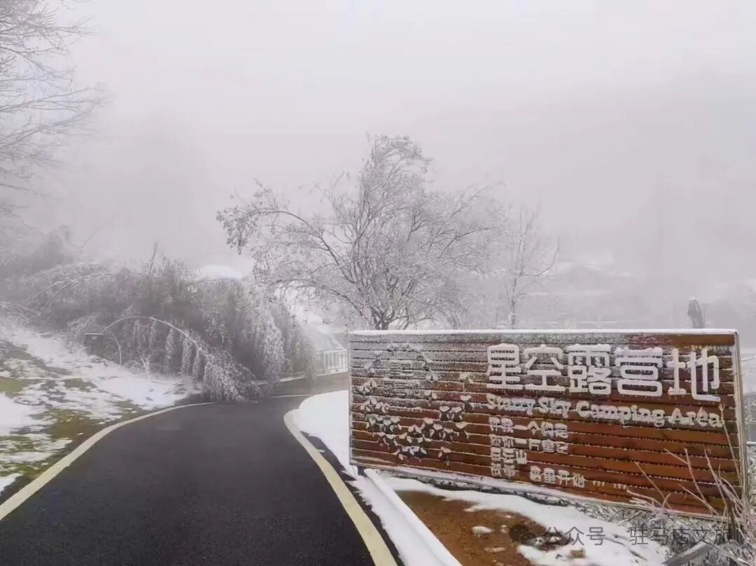 雪落天中！驻马店初雪刷屏~这些绝美雪景，你都去看过吗