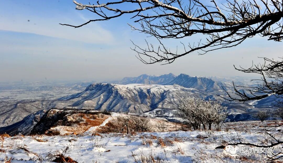 雪落天中！驻马店初雪刷屏~这些绝美雪景，你都去看过吗