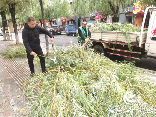  开发区城市管理事务中心以“动”制冻 清断枝除隐患保畅通