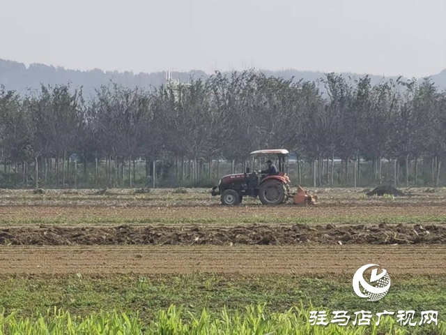 泌阳县高邑镇：晴空万里好天气 人勤机鸣播麦时
