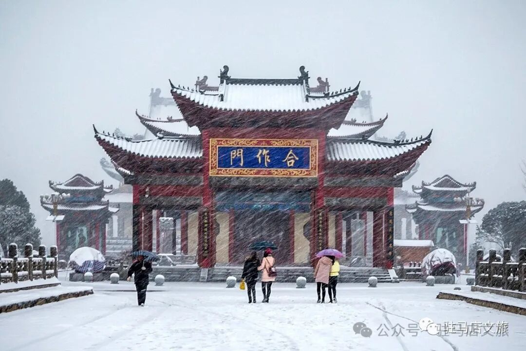 雪落天中！驻马店初雪刷屏~这些绝美雪景，你都去看过吗