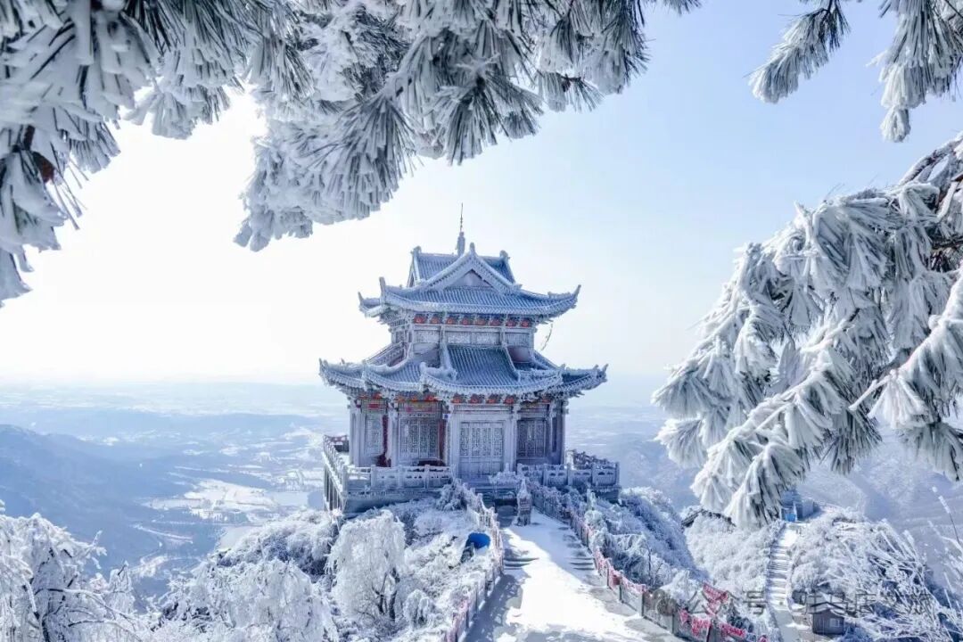 雪落天中！驻马店初雪刷屏~这些绝美雪景，你都去看过吗