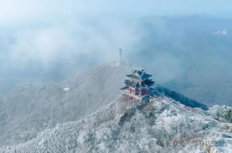 雪落天中！驻马店初雪刷屏~这些绝美雪景，你都去看过吗