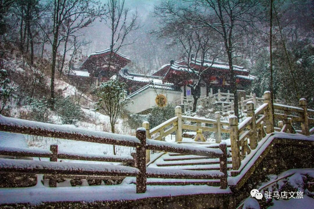 雪落天中！驻马店初雪刷屏~这些绝美雪景，你都去看过吗