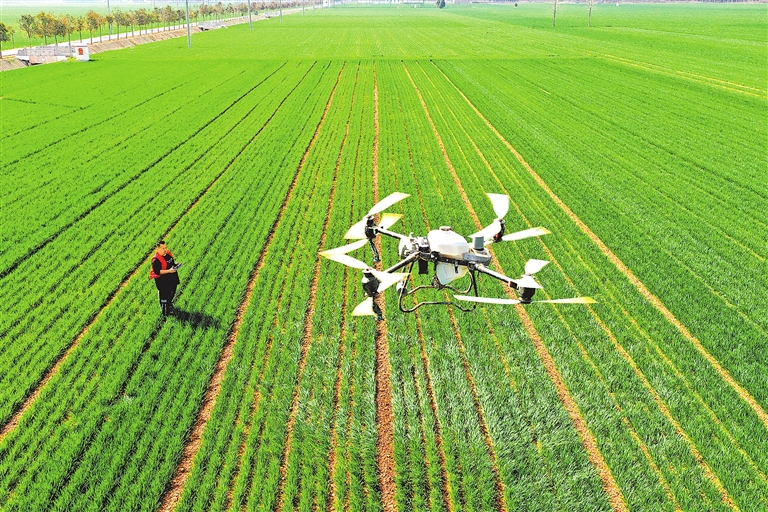 用好冬春农田水利建设黄金期 筑牢“水脉”护“粮仓”