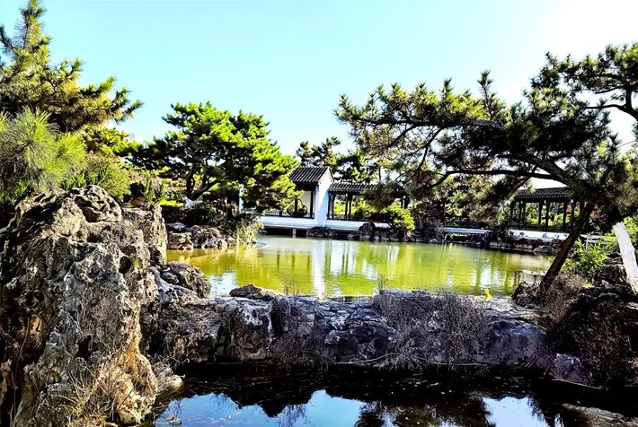 这个公园,初冬景致分外美