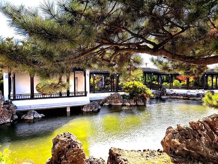 这个公园,初冬景致分外美