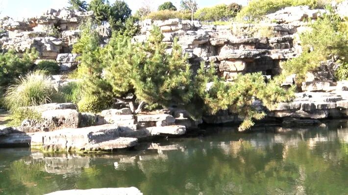 这个公园,初冬景致分外美