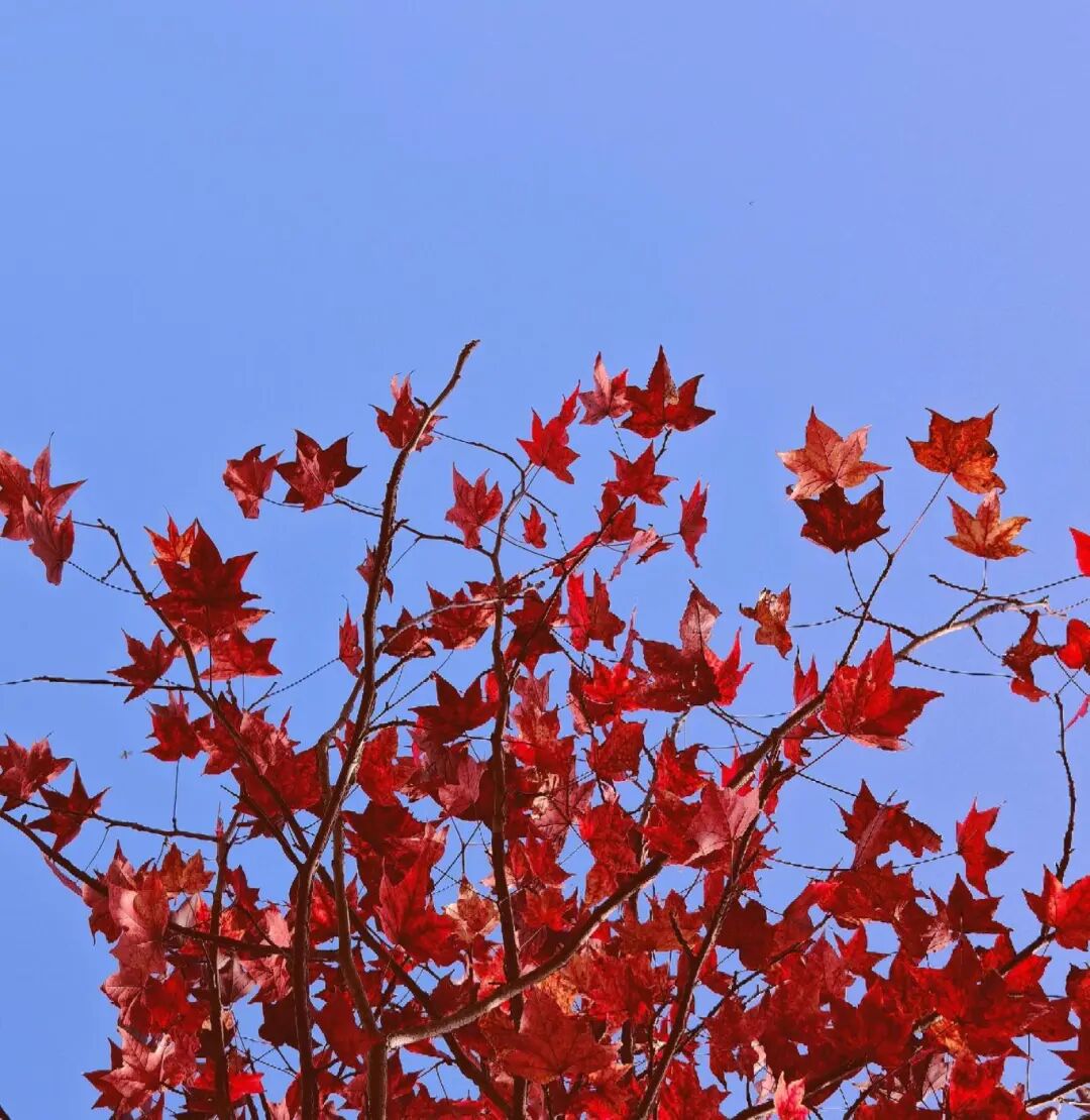 逃离城市计划启动→板桥响冲！