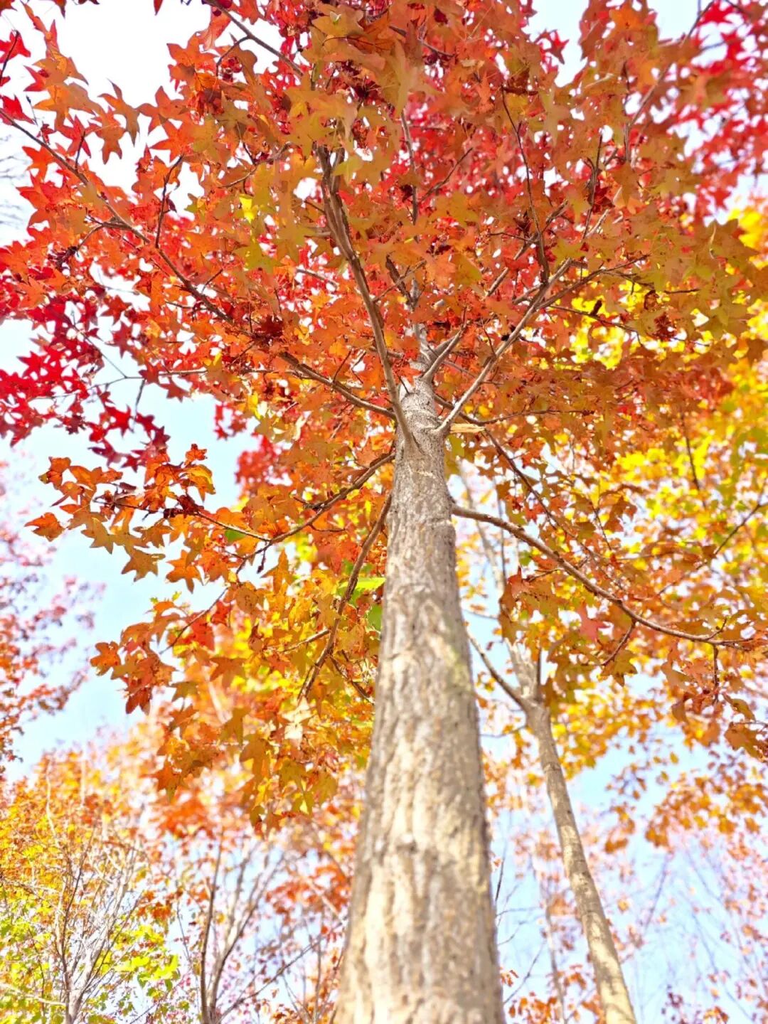 逃离城市计划启动→板桥响冲！