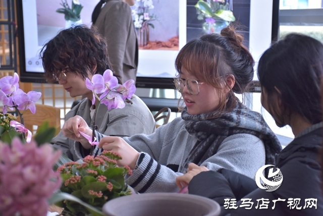 黄淮学院生物与食品工程学院开展蝴蝶兰组盆体验活动