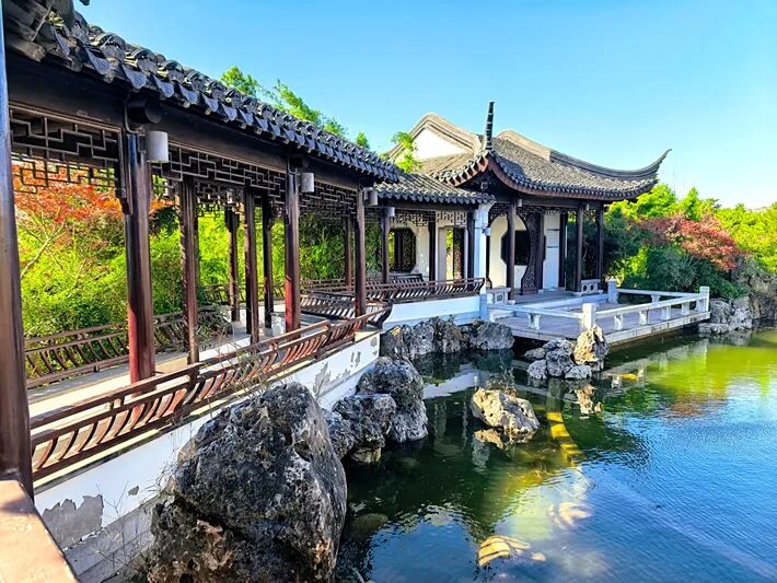 这个公园,初冬景致分外美